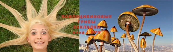 ГАЛЛЮЦИНОГЕННЫЕ ГРИБЫ Новокубанск