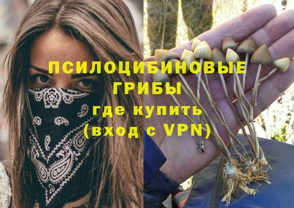 наркотики Новодвинск