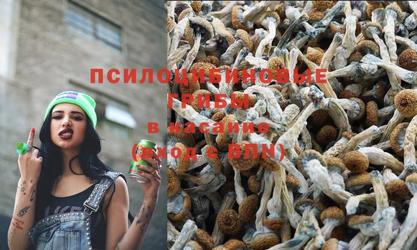 наркотики Новодвинск