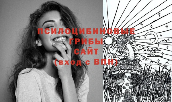 ГАЛЛЮЦИНОГЕННЫЕ ГРИБЫ Новокубанск