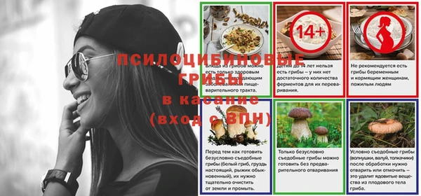 ГАЛЛЮЦИНОГЕННЫЕ ГРИБЫ Новокубанск