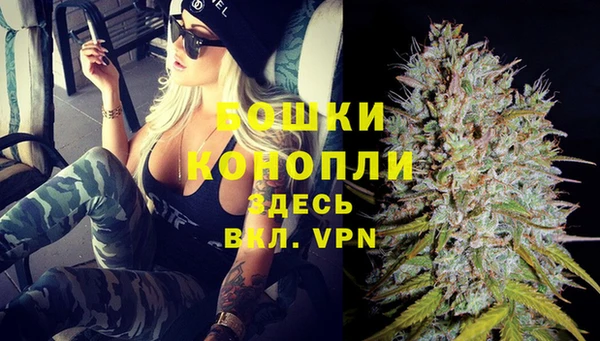 ГАЛЛЮЦИНОГЕННЫЕ ГРИБЫ Новокубанск